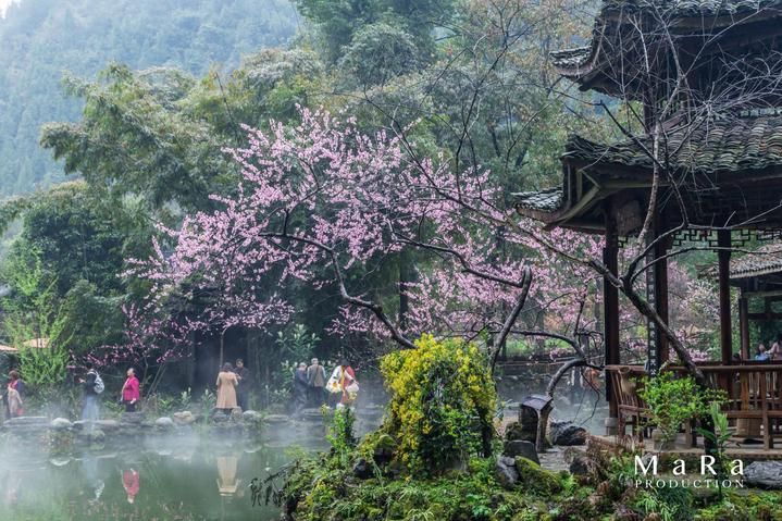 迎青春的盛会丨第一期青联委员寄语，哪句最打动你？
